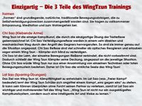 Einzigartig-Die 3 Teile des WingTzun Trainings
